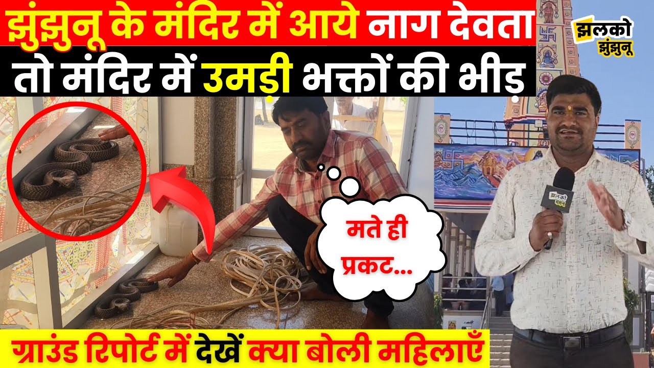 Jhunjhunu के गाँव में शिव मंदिर में आये नाग देवता तो भक्तों की उमड़ी भीड़, देखें क्या बोले लोग