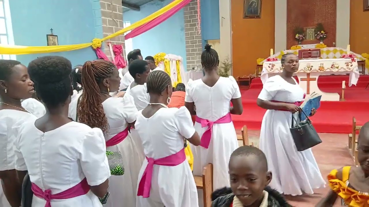 Hongereni Mashemasi 