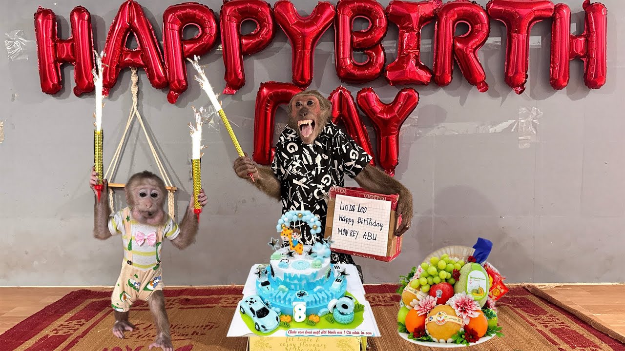 Abu Happily Celebrates His 8th Birthday with Baby Monkey