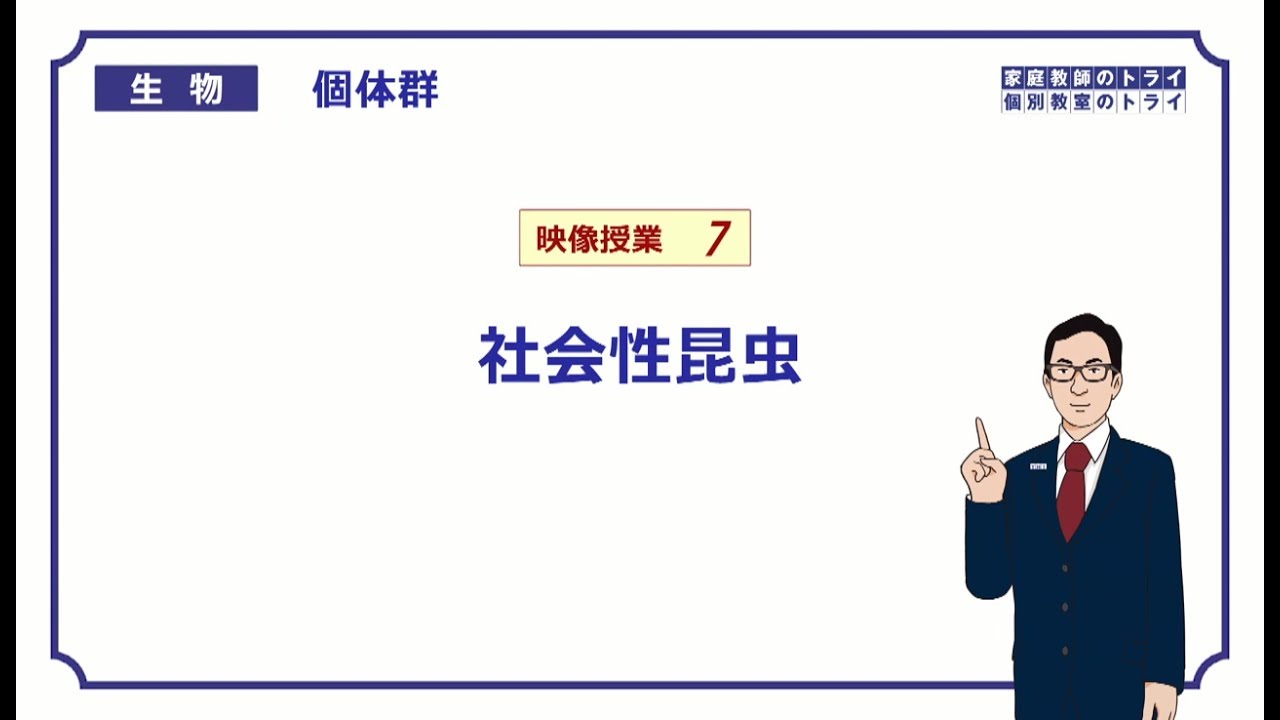 【高校生物】　個体群7　社会性昆虫（18分）