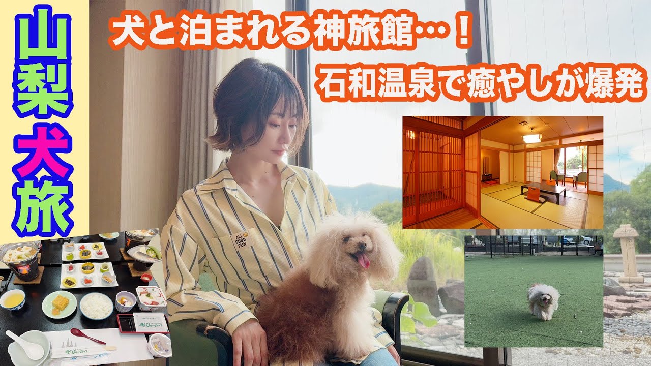 【犬旅】山梨・石和温泉が最高すぎた&hellip;！SAドッグラン〜絶景旅館ルームツアー｜愛犬と車旅 Vlog
