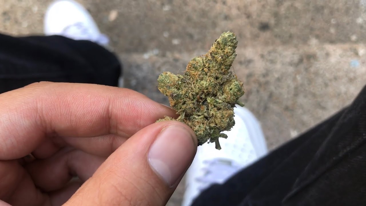 SKYWALKER OG STRAIN REVIEW!!!!