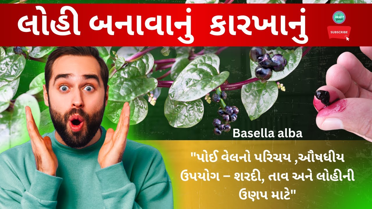 પોઈં || Basella alba||આરોગ્ય માટે તો ખજાનો ||Rich in Vitamins A, C, and Iron