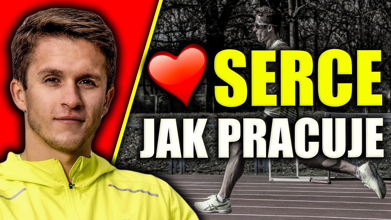Lekcje Online - Praca Serca - Tętno - Obieg krwi - Fizjologia - Bieganie