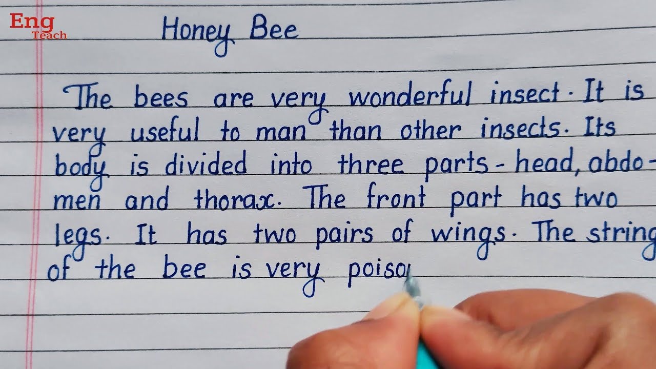 Essay on Honey Bee | English essay | essay | English writing | handwriting | writing&nbsp; | Eng Teach