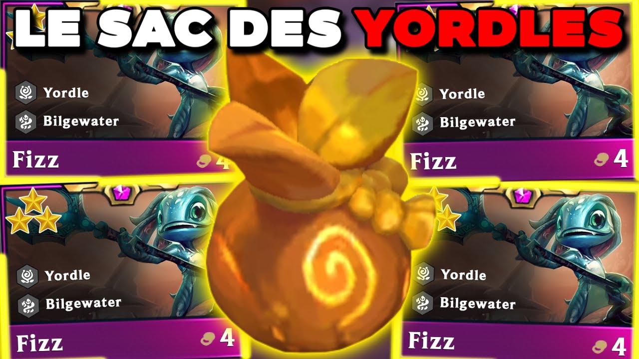 Fizz 3 ⭐⭐⭐ semble GARANTI avec les sacs.