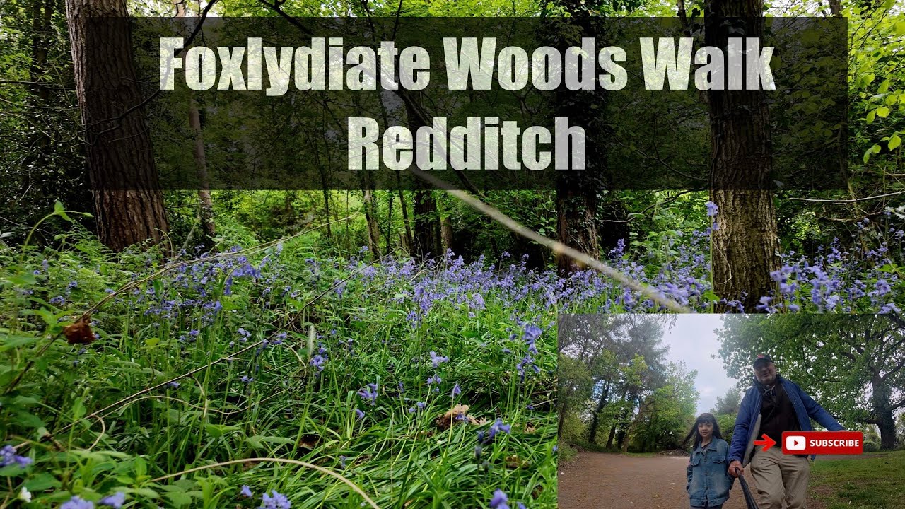 Foxlydiate Woods Walk  Redditch