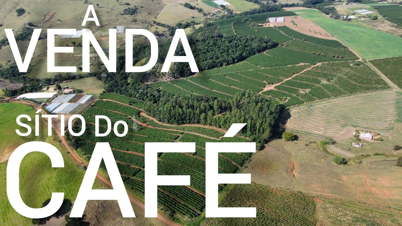 SÍTIO - ALTA PRODUÇÃO DE CAFÉ NO PARANÁ R$4.6M