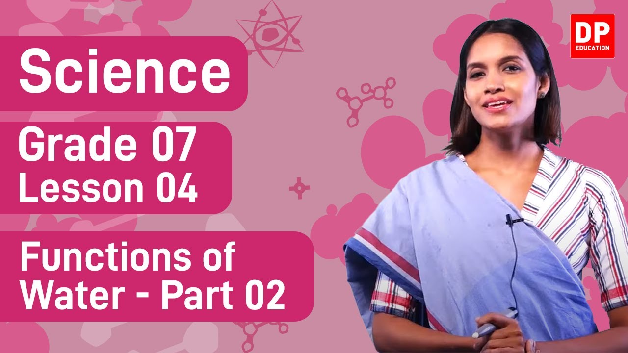 Lesson 04  - Functions of Water (Part 02) | Grade 07 Science in English