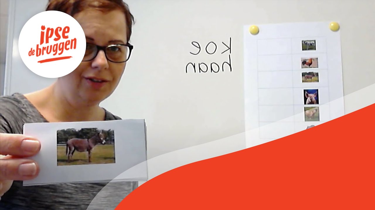 Educatie Nieuwveen - Leren over dieren