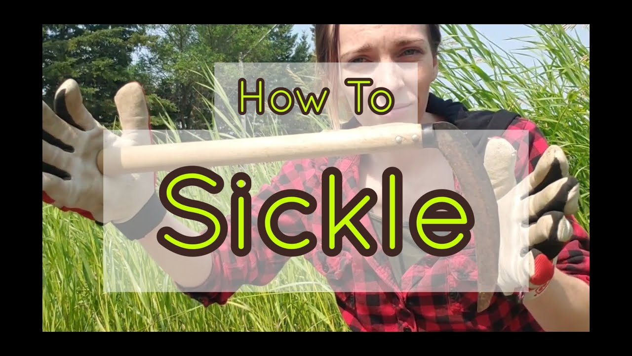 How To Use A Sickle
