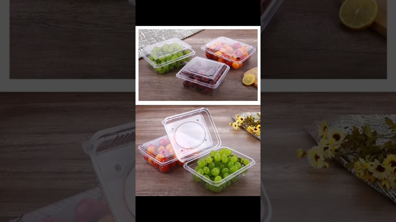 Transparent Food Container#foodcontainer#foodcontainers#lunchbox#foodpackaging#blisterpack