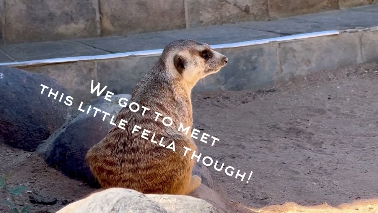 From the Skeleton Coast to Brandberg: A Namibian Adventure