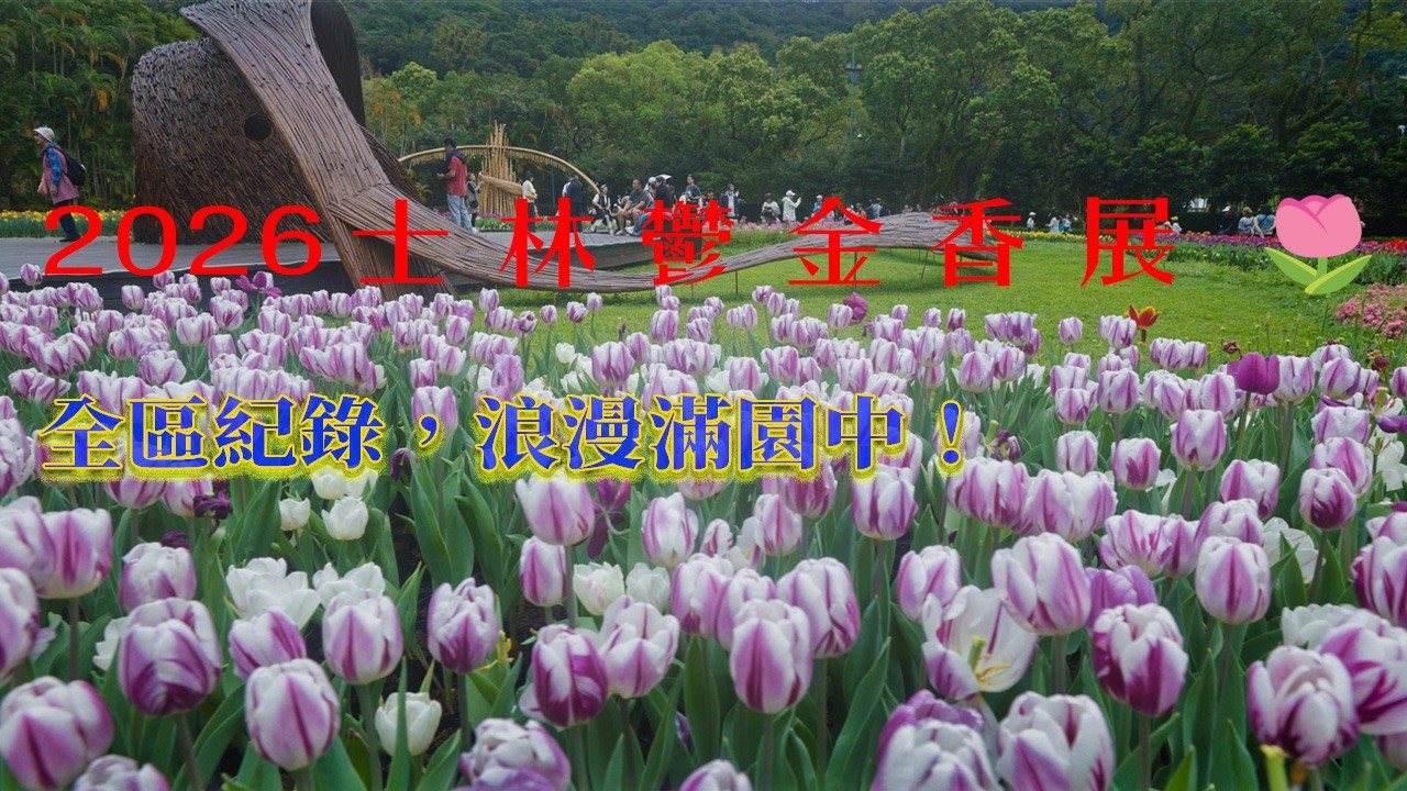 士林官邸2026｜萬朵鬱金香綻放｜掌握花況更新｜拍照攻略與最佳賞花時刻：春日浪漫必訪打卡景點
