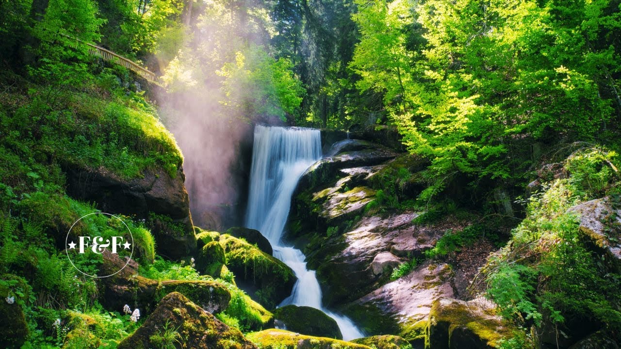 Experience Pure Serenity With Calming And Relaxing Piano Music ! Study ! Sleep ! Stress Relief