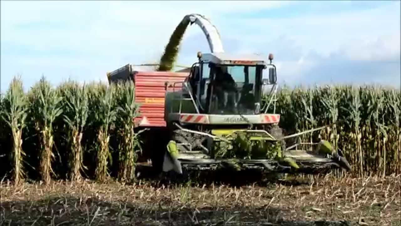 Marskamp Marle aan het maishakselen 2014