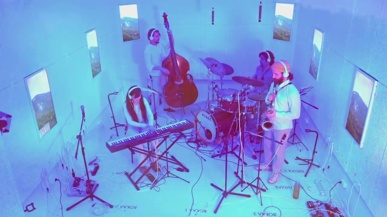 Masala Quartet - Foggy Forest (Live)