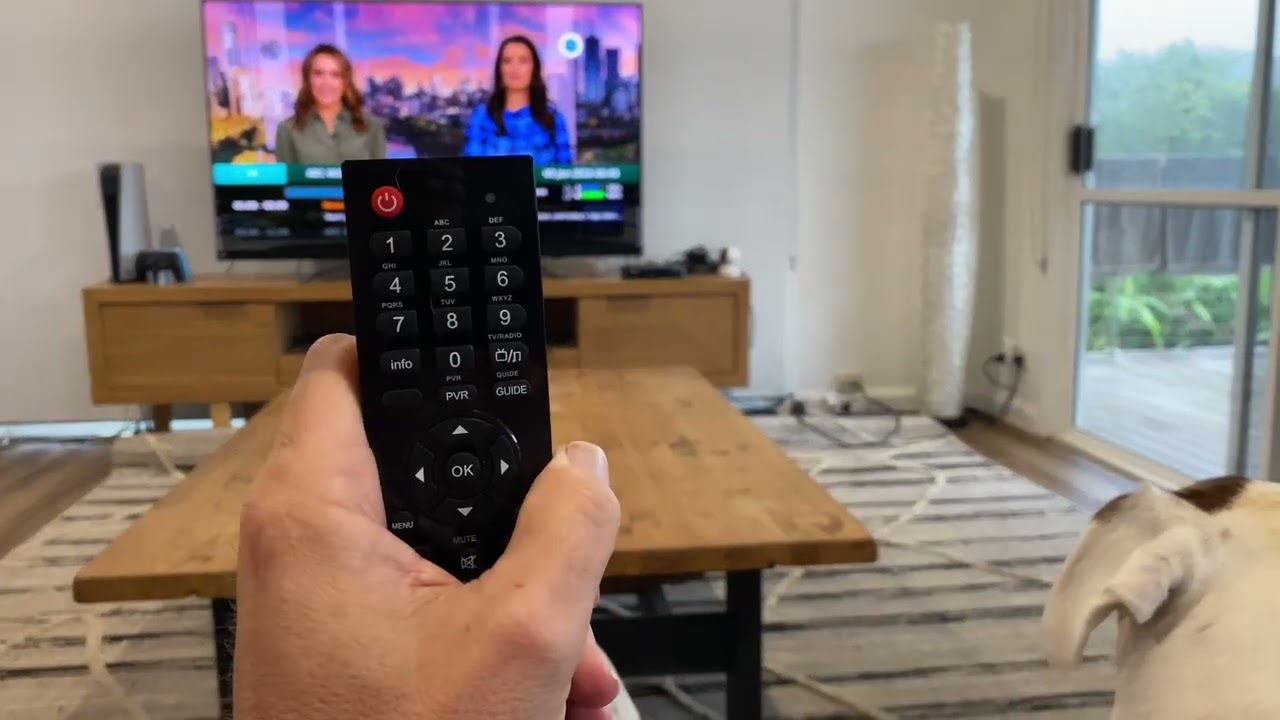 Shelly - TV remotes