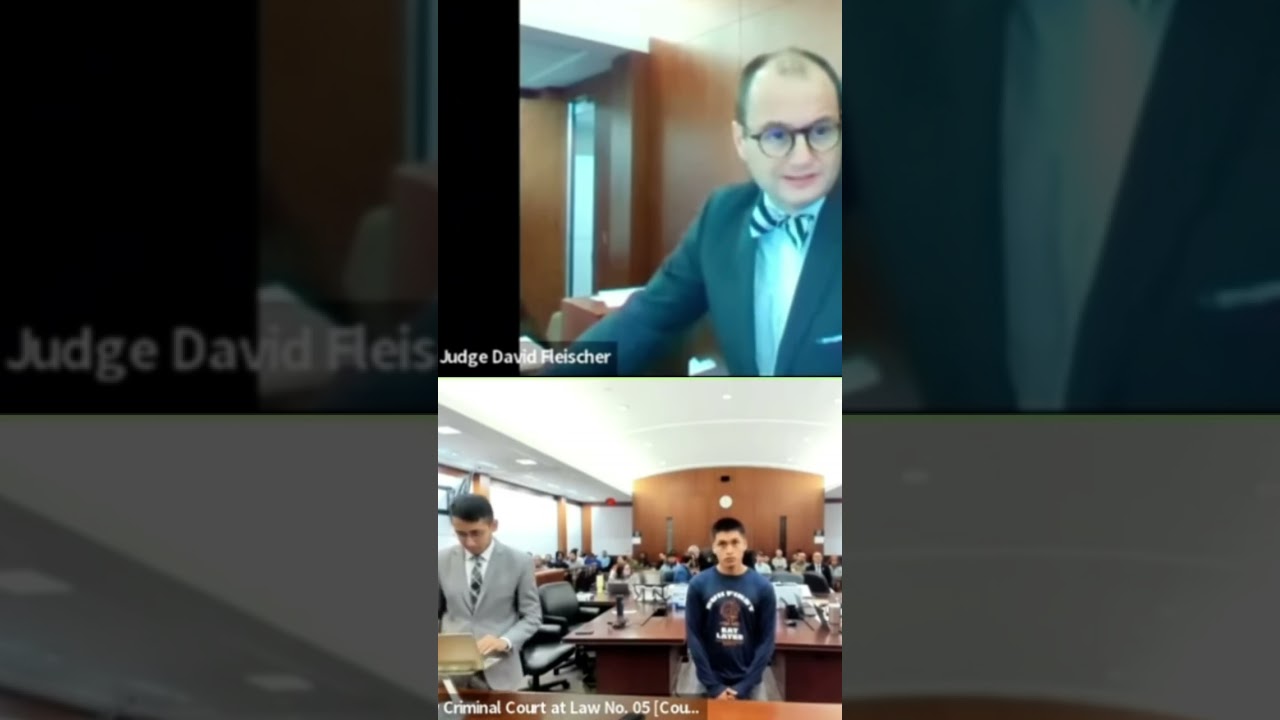 BEST Judge Fleischer HIGHLIGHTS! Pt.4  #judgefleischer #court #courtroomdrama #courtroom