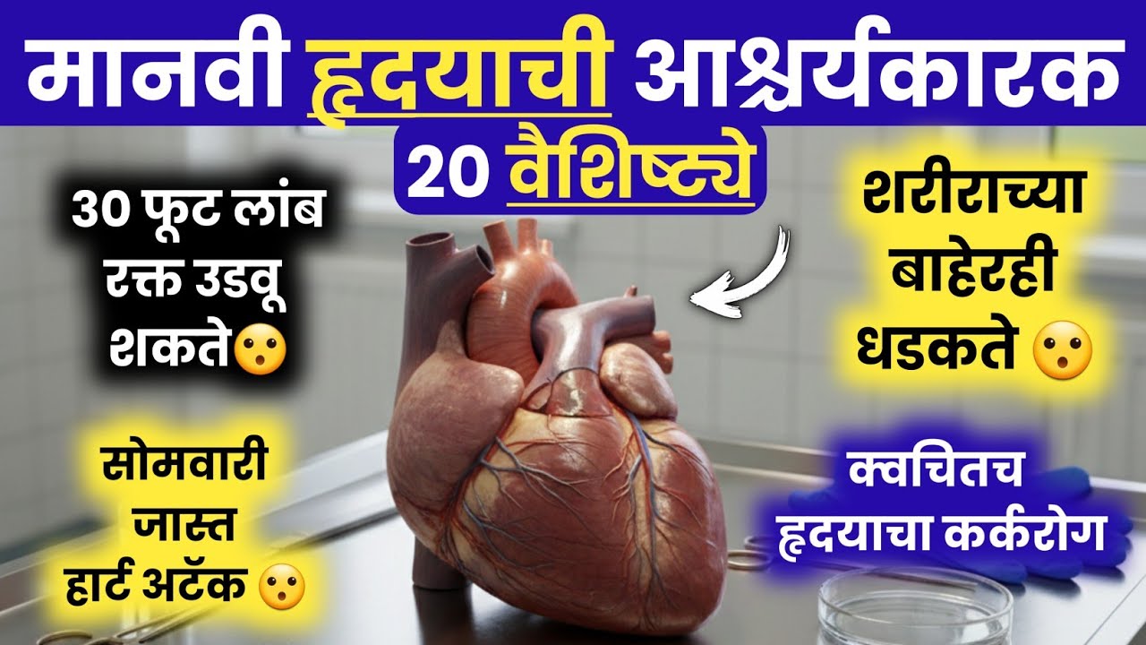 मानवी हृदयाची आश्चर्यकारक 20 वैशिष्ट्ये | 20 Surprising Characteristics Of The Human Heart