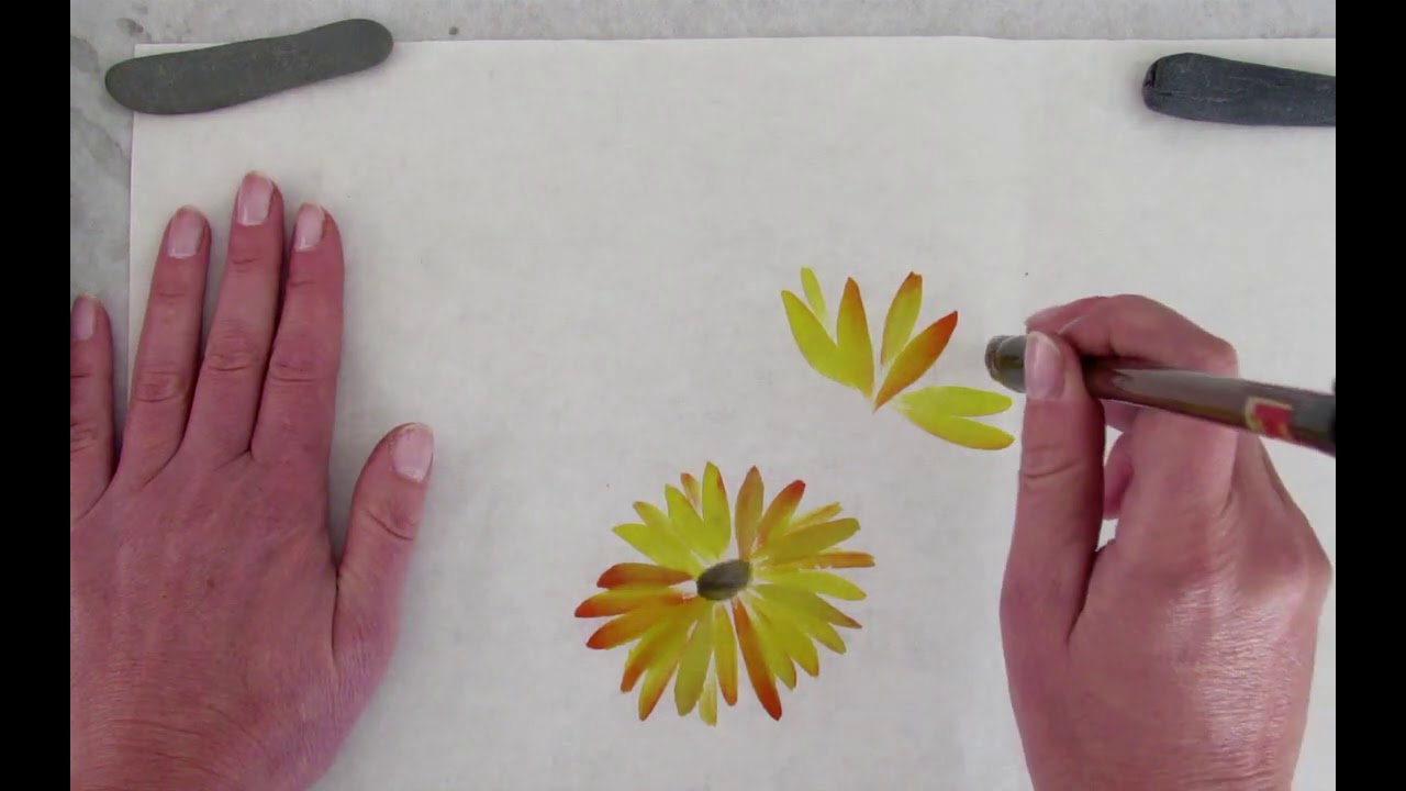 Cómo pintar un crisantemo simple en sumi-e - Primera parte