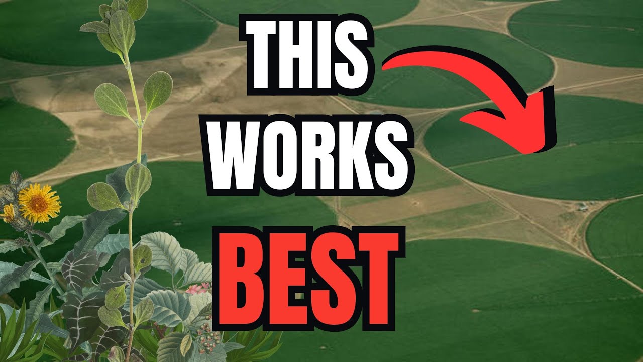 Our Classic D&D Farms are Wrong.