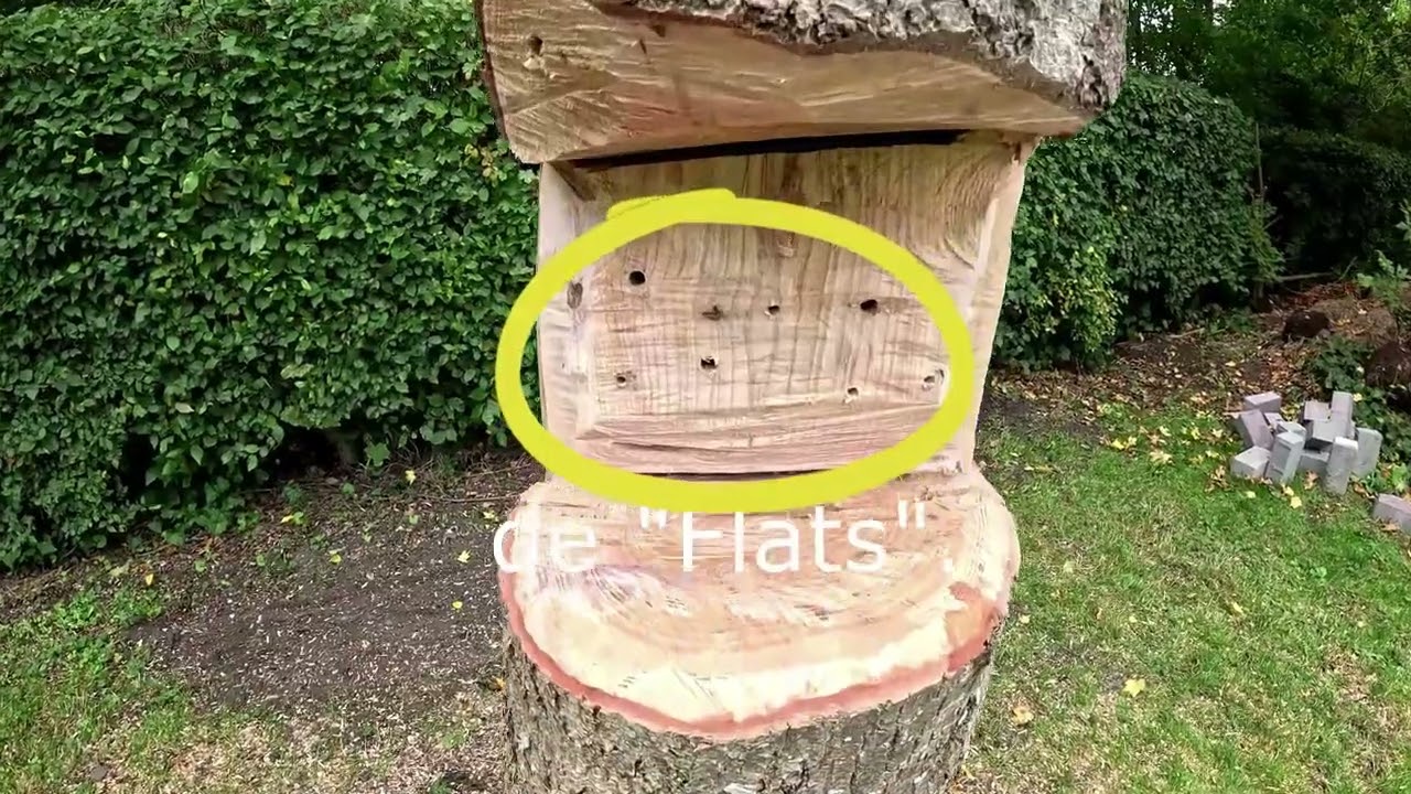 van boom naar bijen hotel