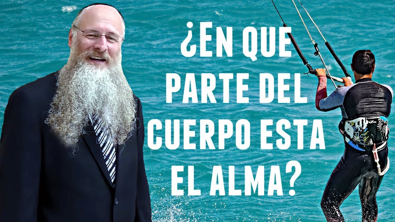 ¿En qué parte del cuerpo está el alma?
