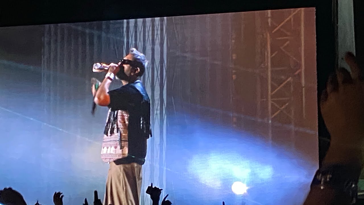 Attending ​⁠my 4th Live Concert ​| @YoYoHoneySingh