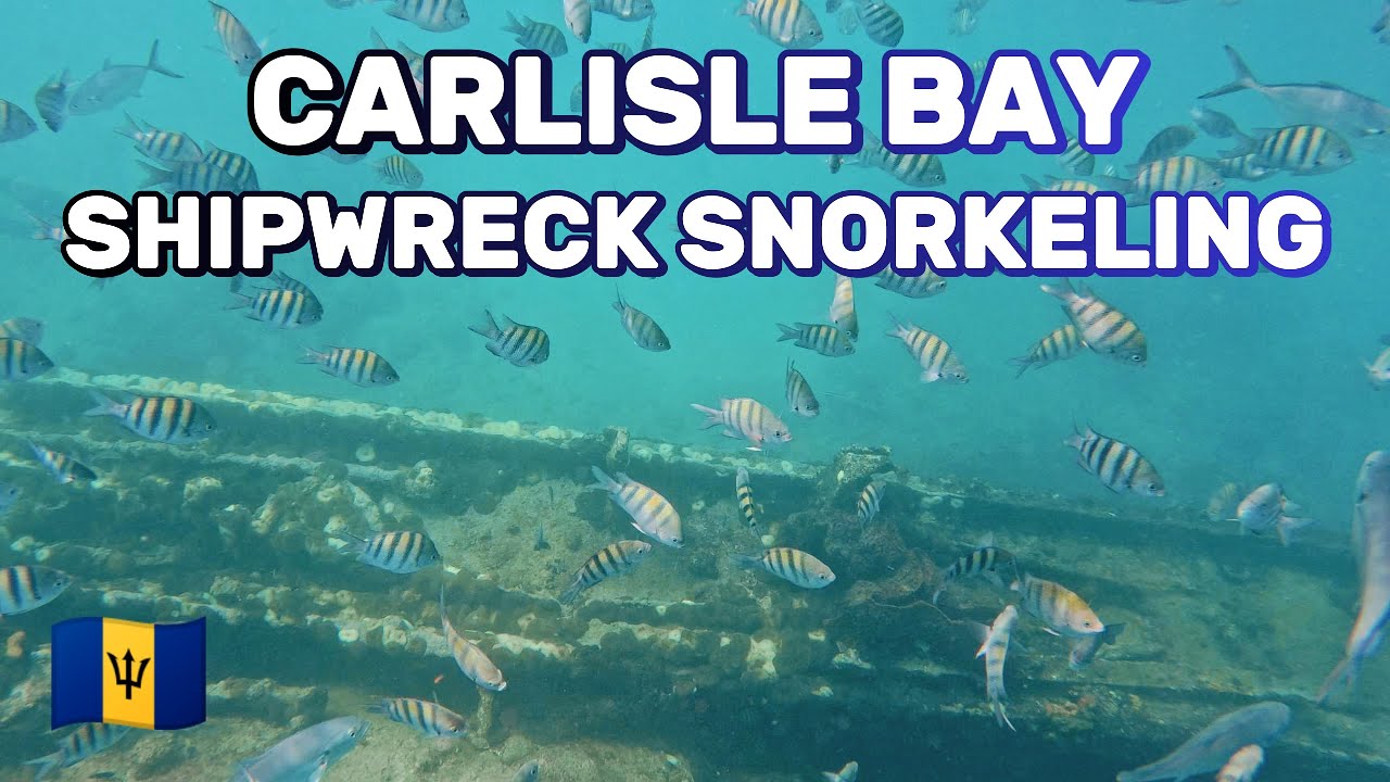 Carlisle Bay Shipwreck Snorkeling | Barbados Beach & Travel Vlog