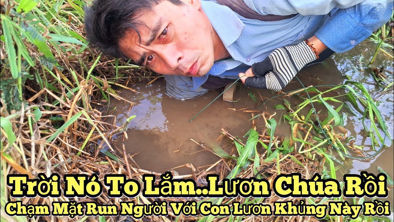 Câu lươn khủng_Trời ơi nó to lắm..Lươn chúa rồi_Run người với con lươn khủng này rồi_tập1038//Eels