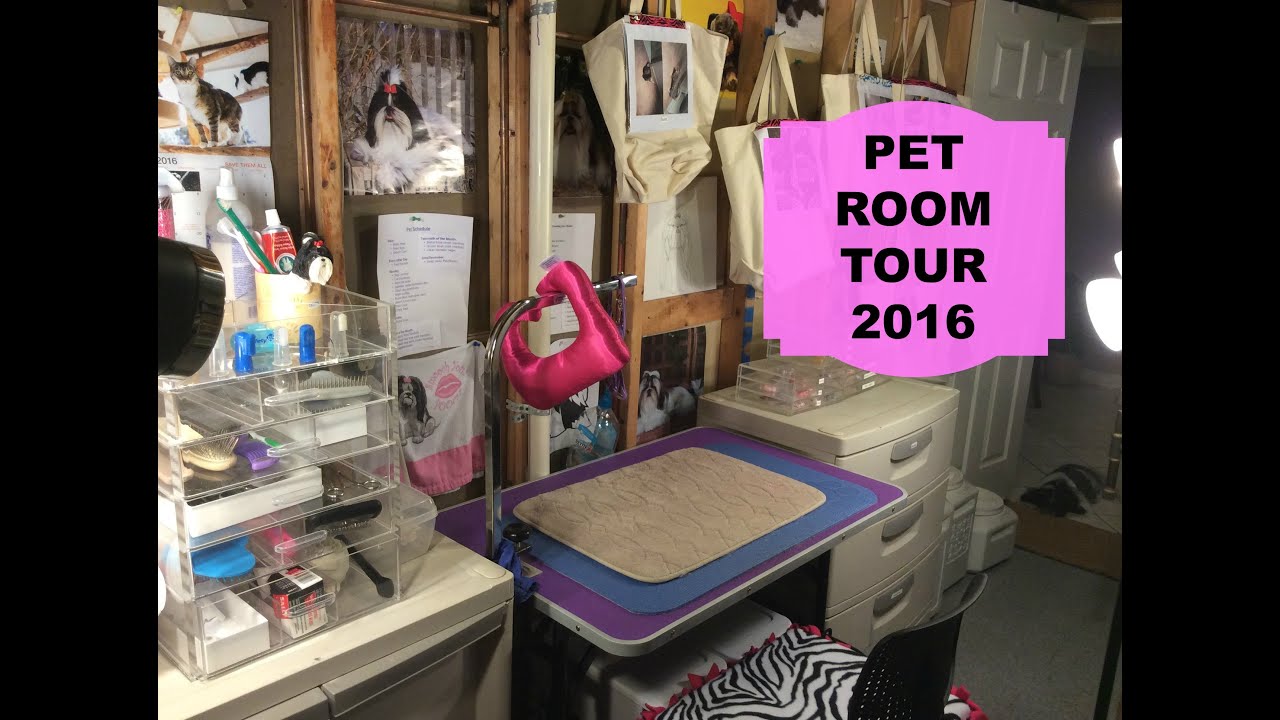 Pet Room Tour 2016