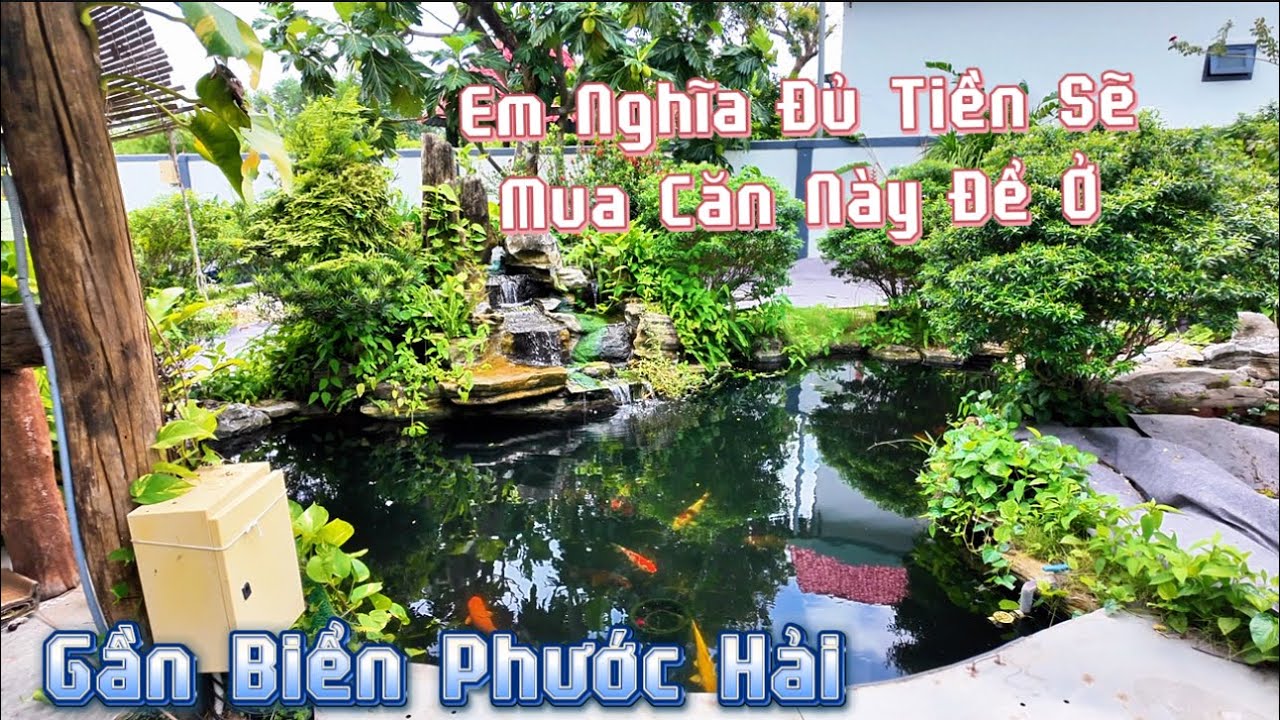 Mê Quá ! Căn Nhà Vườn Quá Đẹp Gần Biển Bà Rịa Vũng Tàu Cần Chuyển Nhượng #bannhavungtau #hocakoi 