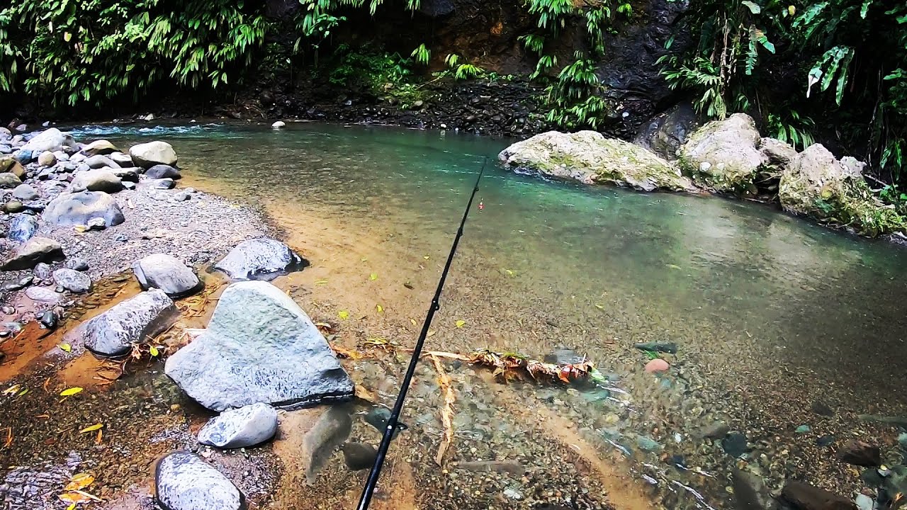 Aguas cristalinas en risaralda