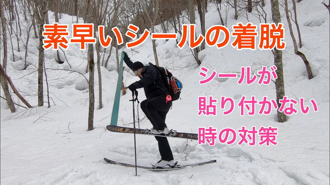 山スキー シールの素早い着脱とシールトラブル対策について