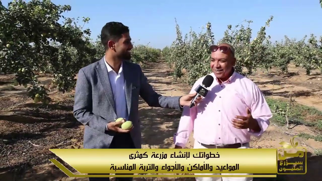 من سيزرع المليون يشهد حصاد الكمثرى مع فنان الفاكهة المتساقطة في مزرعة مذهلة