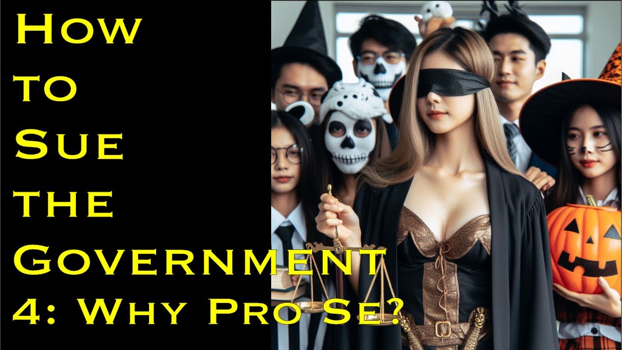 How To Sue the Government, Chapter 4: Why Pro Se?