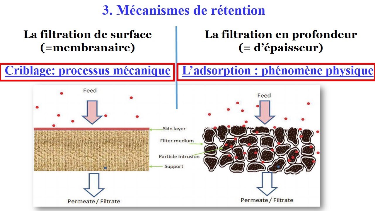 La Filtration de surface et la filtration en Profondeur