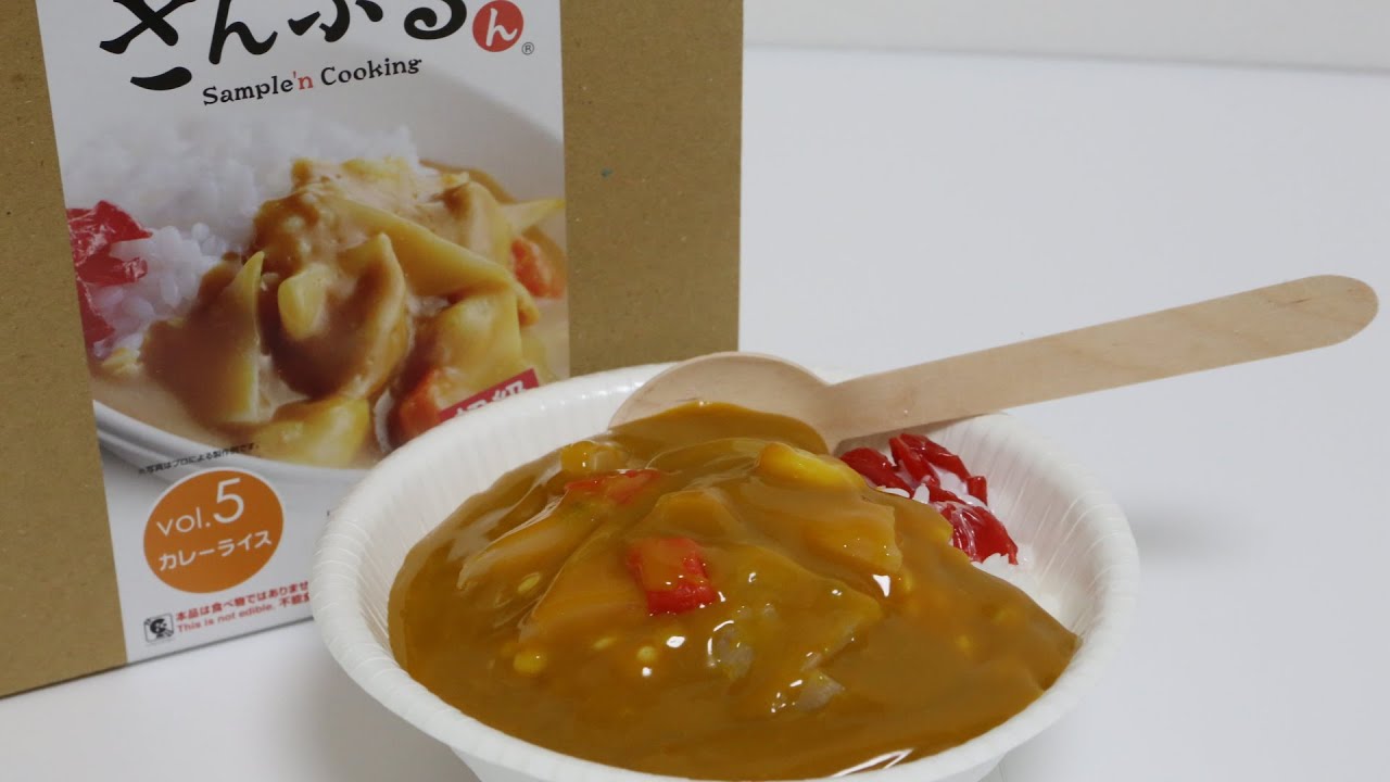 Food Sample Making Kit Curry Rice