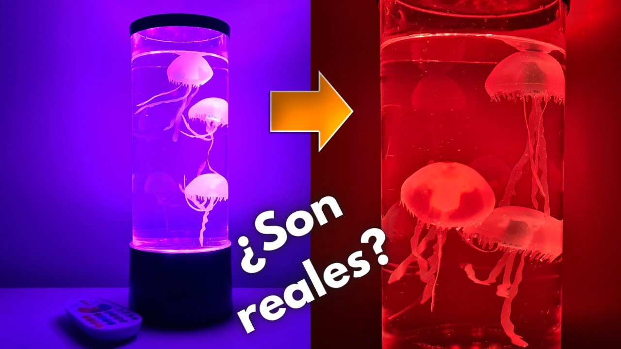 Lámpara de Medusas LED ¿Reales o Artificiales? | Te enseñamos todas sus características