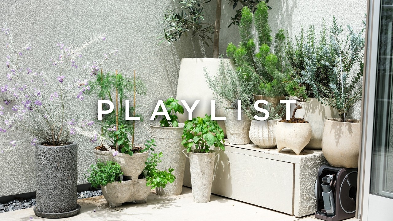 【 Cafe Playlist 】心を落ち着かせる時間を☕好きな洋楽だけを集めたプレイリスト♪