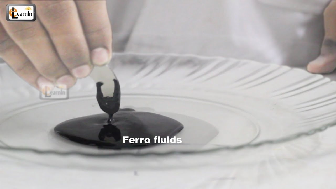 Making Magnetic FerroFluid | How To Make Ferrofluid at home | Science Experiment for kids | elearnin