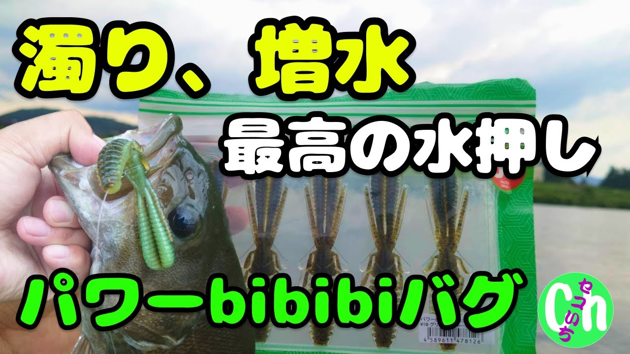新作【パワーbibibiバグ】濁り増水でも確実に釣れるワーム‼️インプレ【ISSEI】【7月】【梅雨】【夏】【川バス】【川スモール】【Black bass】