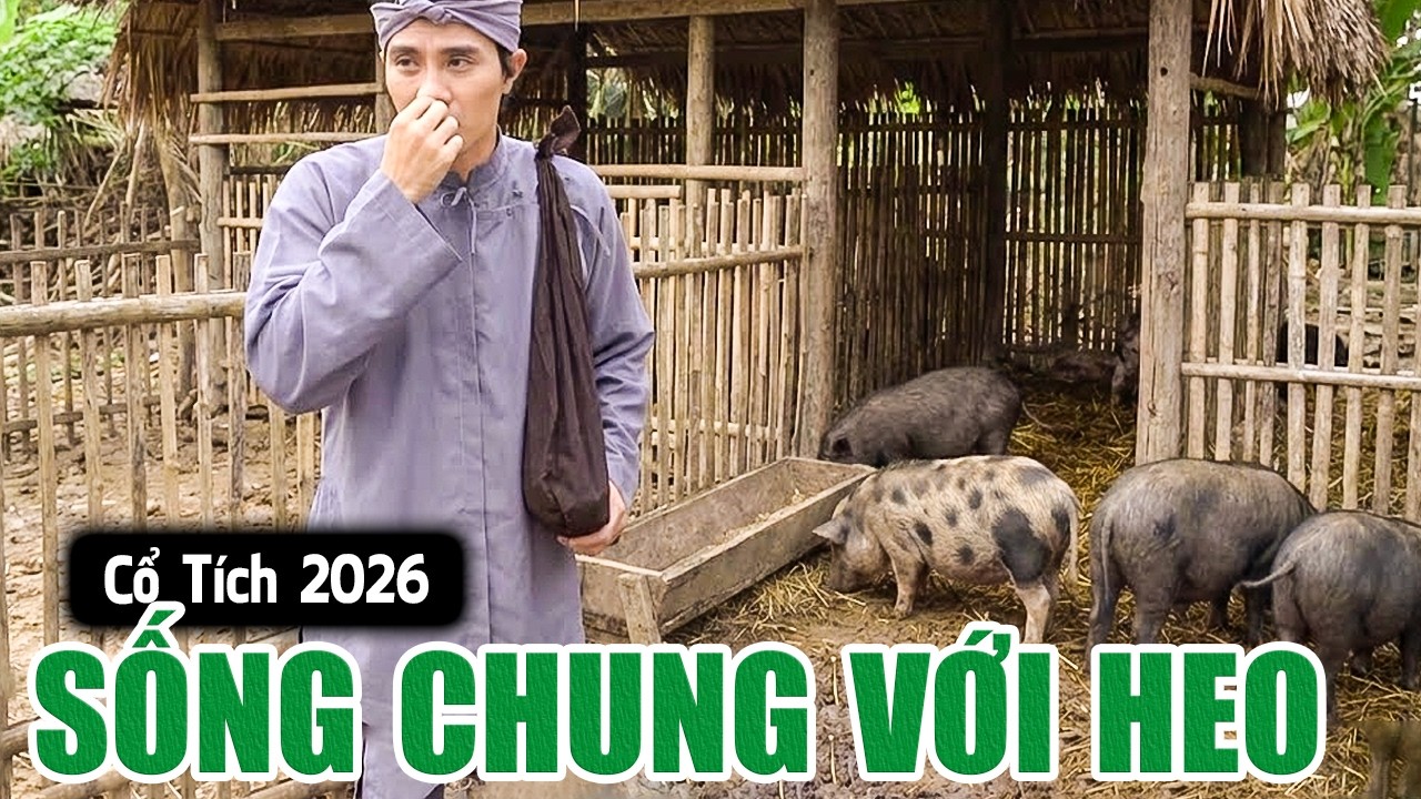 SỐNG CHUNG VỚI HEO | Cổ Tích Việt Nam 2026 | Phim Truyện Cổ Tích | Cổ Tích Mới Nhất | Cổ Tích THVL