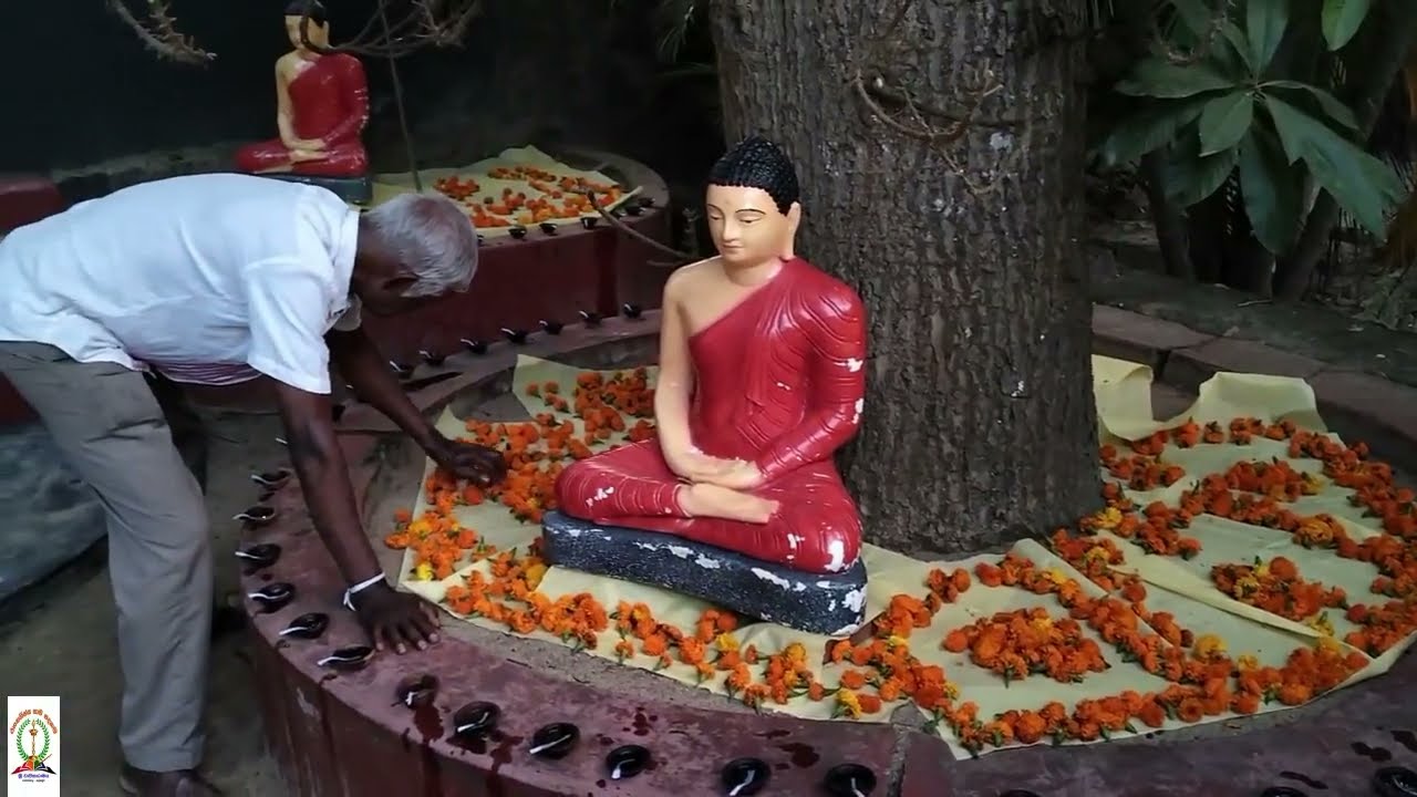 🚶🚶විනාඩි තුනක් බලල දැනුන දේ කියන්නකො🚶🚶
