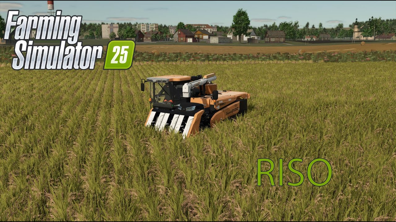 Farming Simulator 25: Riso