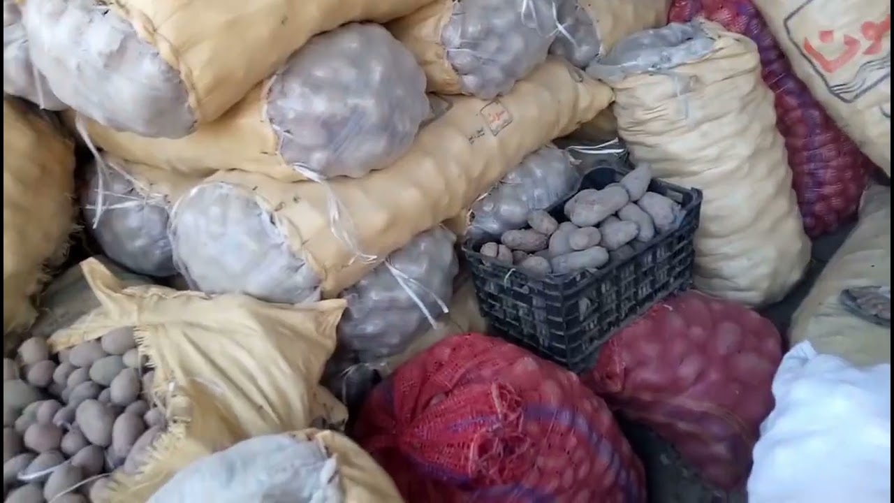 Narowal Veggie Frenzy! Cheap Vegetables 🥬 & Sky-High Fruit Prices 🍉 | Lahore, Shakargarh, Islamabad