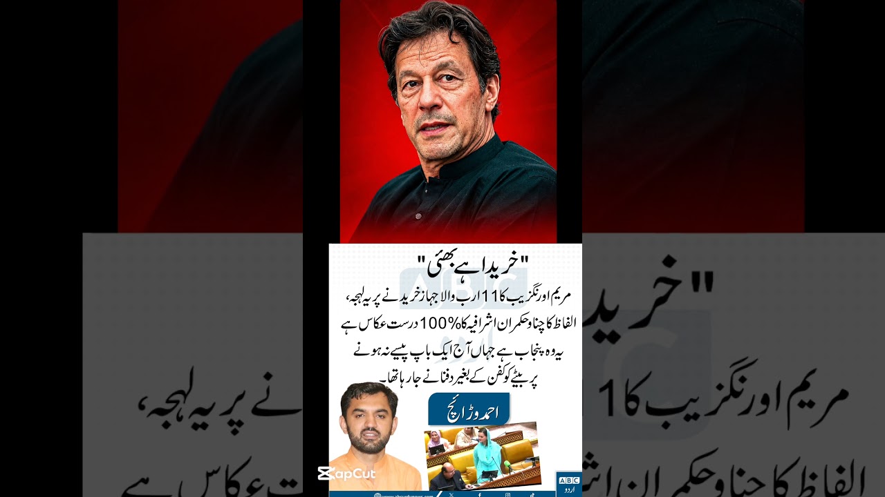 The Leader #ptiofficial #imrankhan #shorts #news #pakistan #barkitv #pti