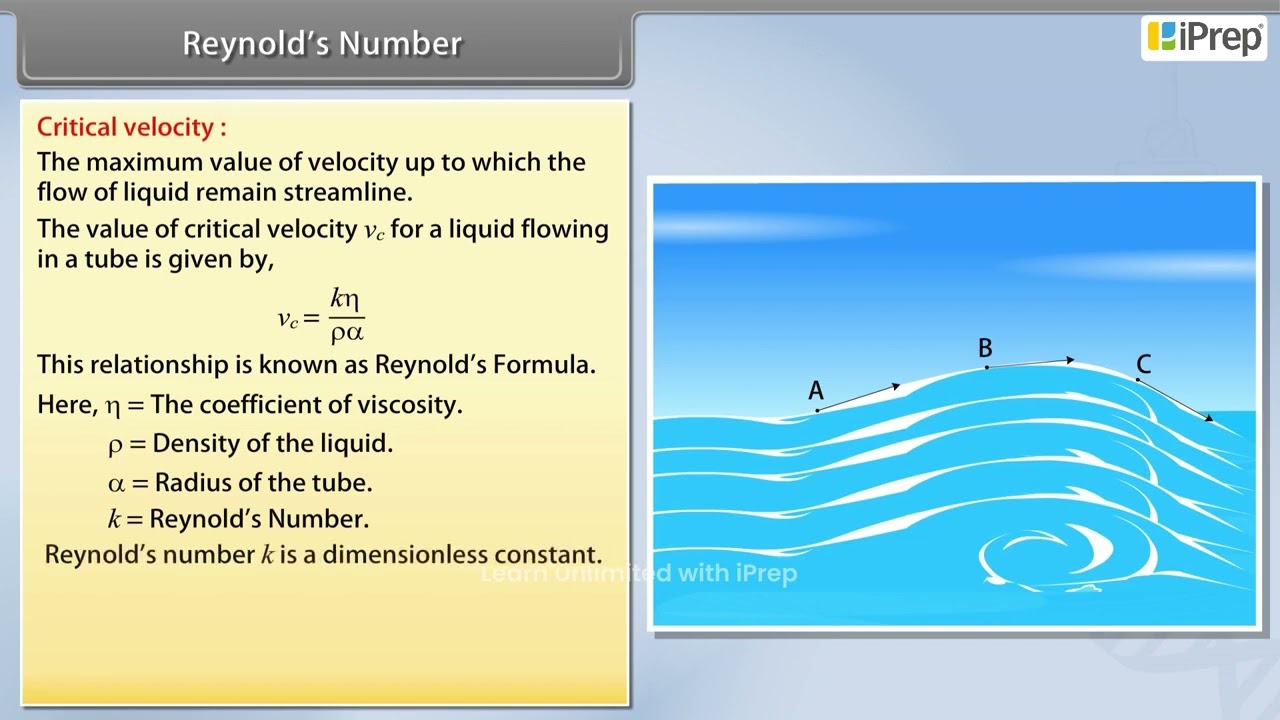 Reynold's Number | Mechanical Properties of Fluids | Physics | Class 11th | iPrep