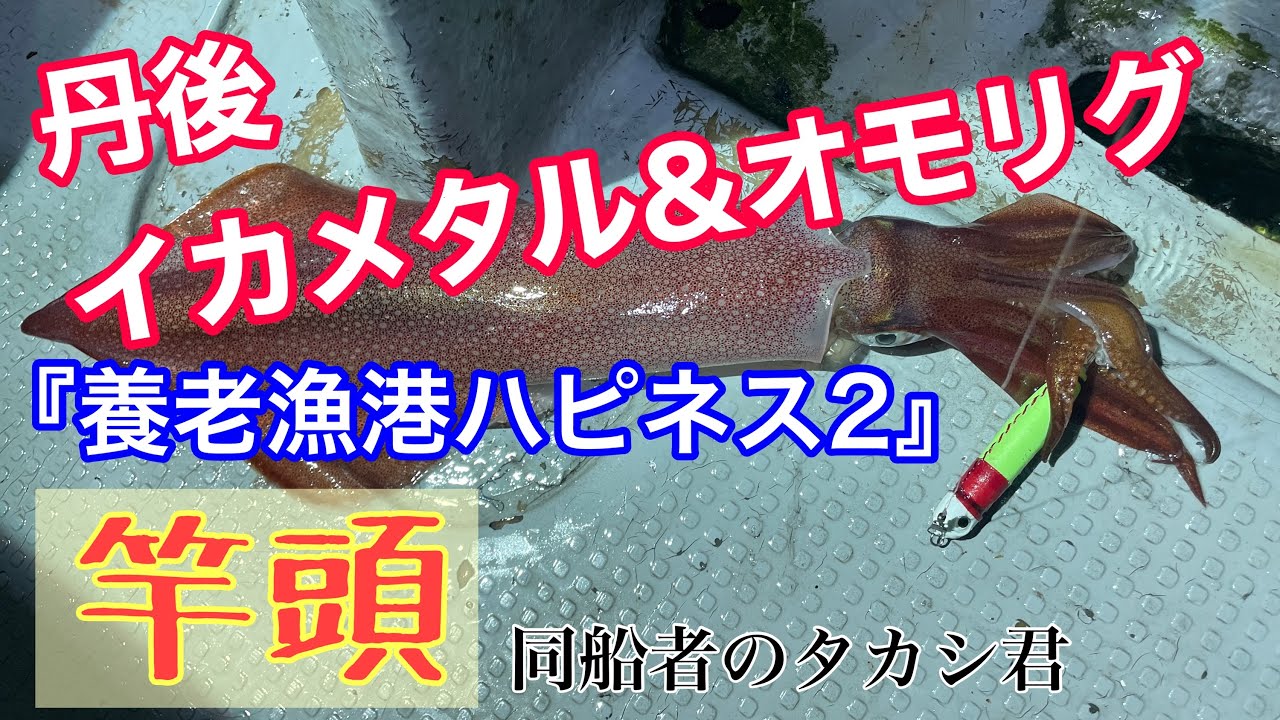 【京丹後イカメタル＆オモリグ】2025年7月中旬 京都府宮津の養老漁港から出船のハピネス2さんでイカメタル・オモリグに行ってきました。